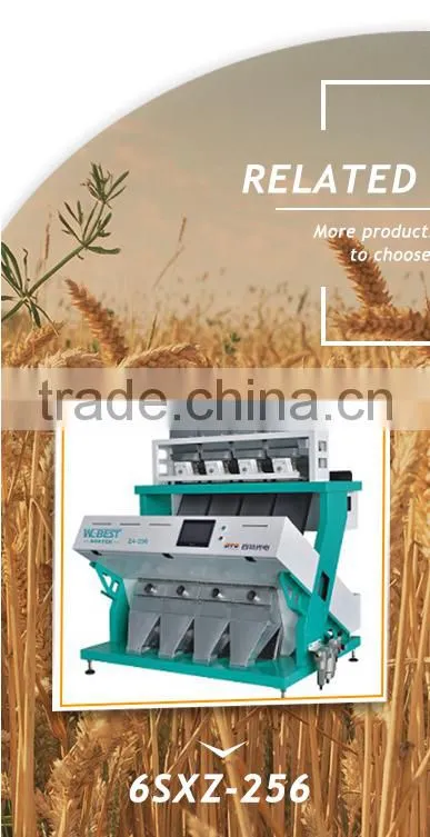 Seafood Color Sorter /China Manufacturer Color Grader/ Color Selected