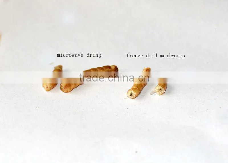 High Protein Reptiles Food Dried Mealworms