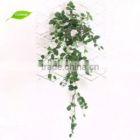 GNW FLV11 calendula flower orange blossom flower balloon flower root extract