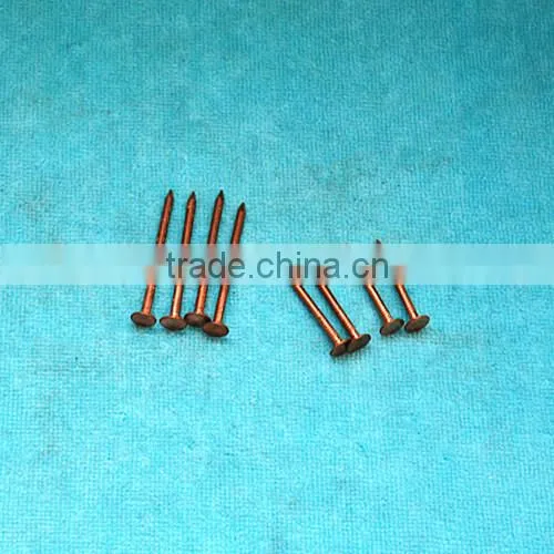 concrete brass nail