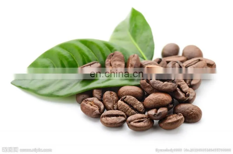 chilli/chocolate grinding machine/wet rice grinding mill machine