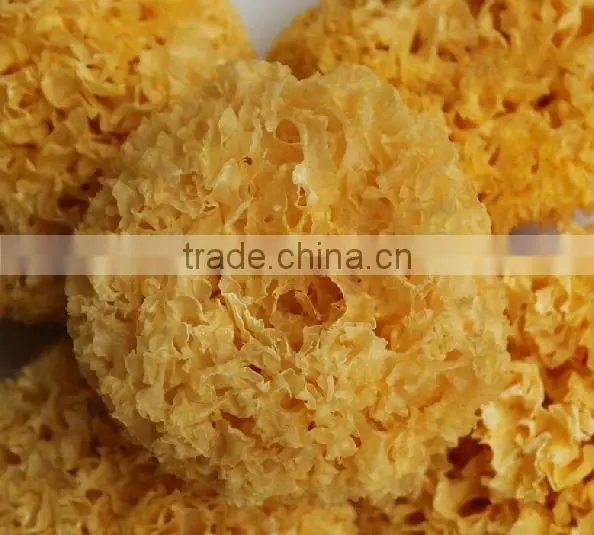 farm produce natural special grade tremella,yiner
