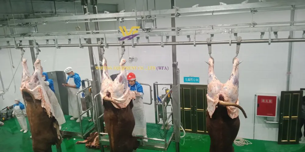 WFA Cattle Carcass Convyor (4).jpg