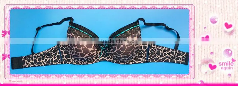 Underwear Set, Women Plus Size Bra Set