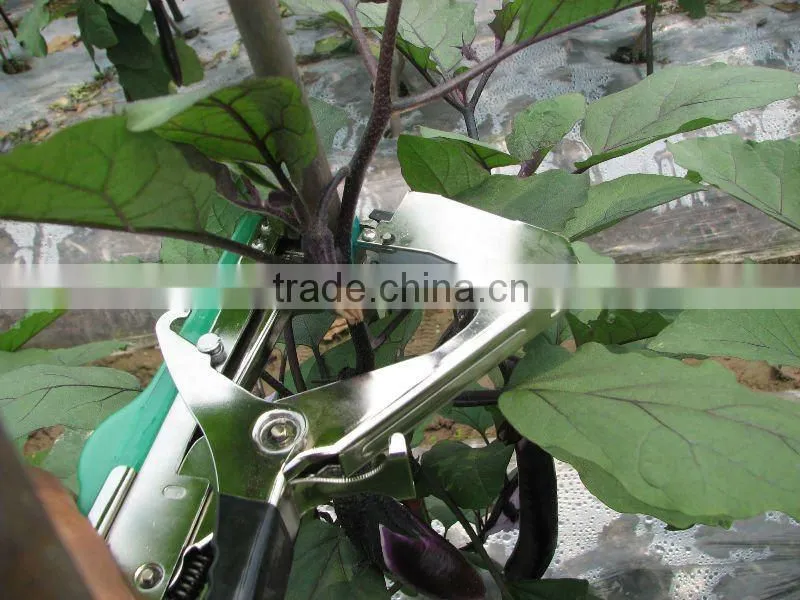 tie grape tape tool