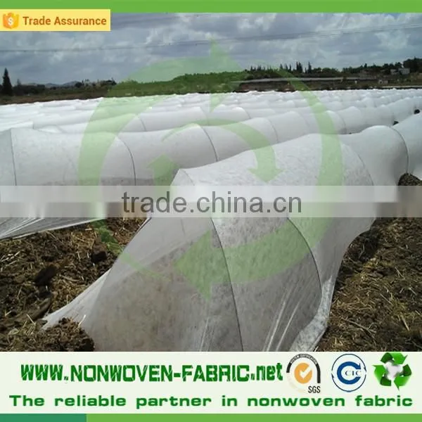 Agriculture Nonwoven Fabric Wholesale/UV resistant PP nonwoven