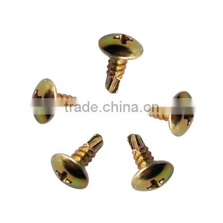 Full Threaded Big Head Stainless Steel Phillips Truss Head Machine Screw With Different Size Are Avliable