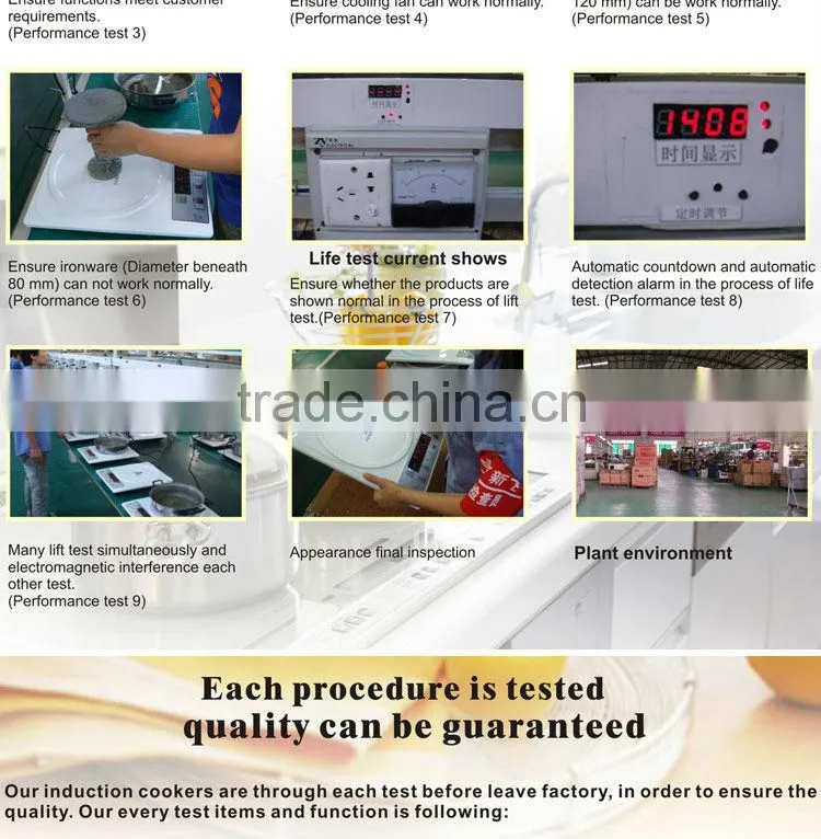 dual induction cooker
