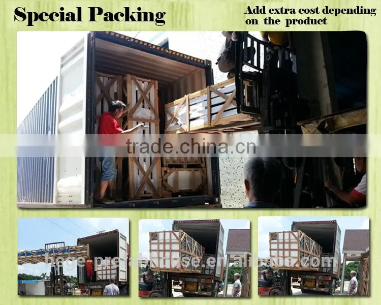 roof steel shed structure for factory