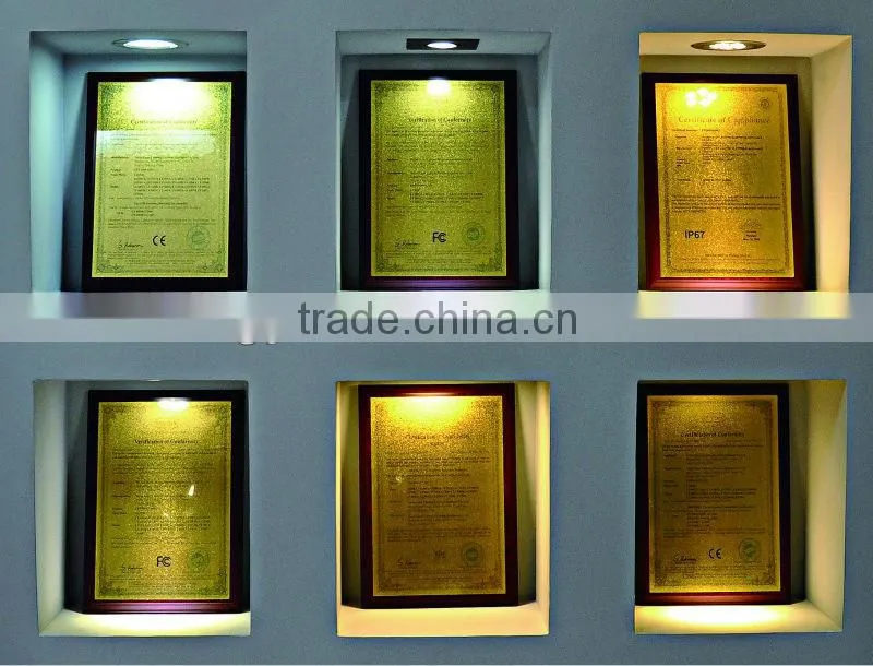 Stainless steel body IP67 110v landscape lighting