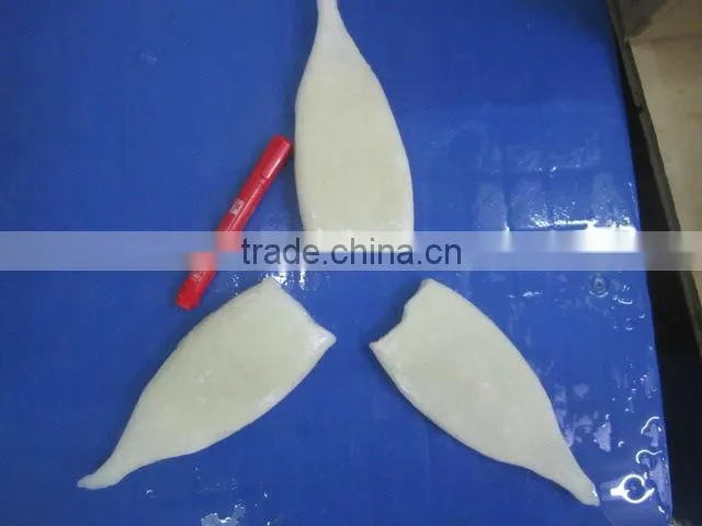 Squid Tube U5