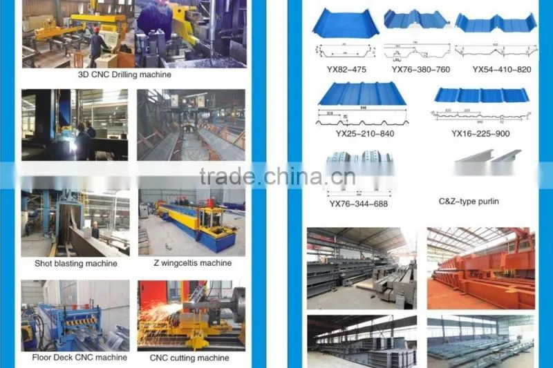 Steel Frame Structure Construction Building
