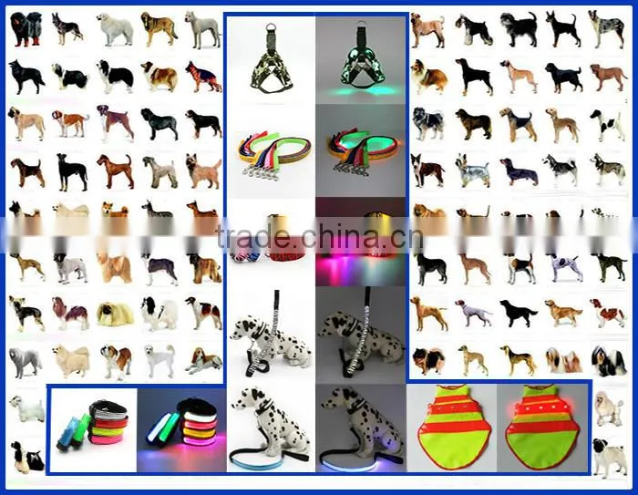 2015 Hot Selling LED Pet Training Products