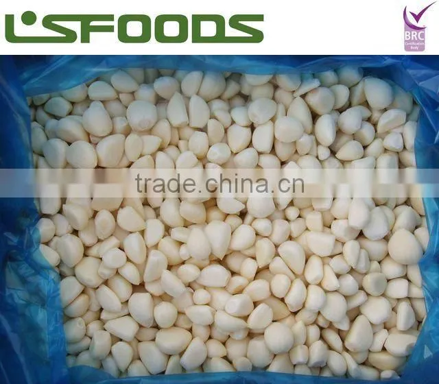 frozen garlic IQF blanched garlic dices high quality