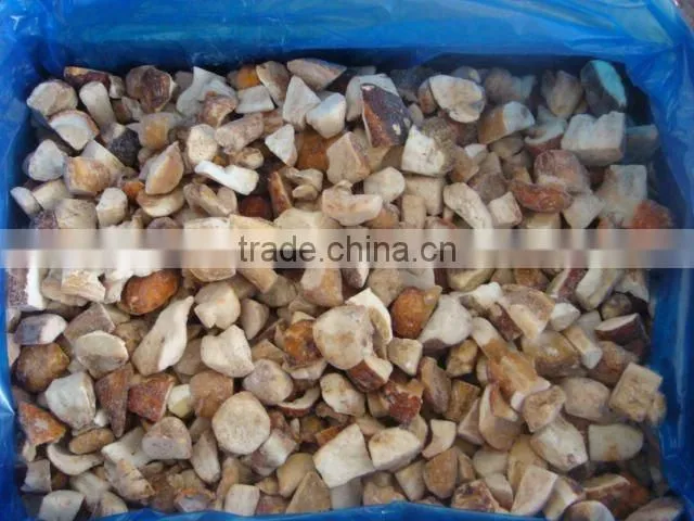Chinese cut boletus edulis