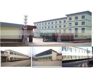 Shandong Pangda Condiment & Food Co., Ltd. company overview - view 3