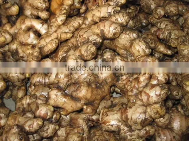 VIETNAM DRIED SLICE GINGER, BEST PRICE, HIGH QUALITY (+841657106604 - WHATSAPP)