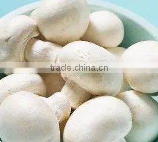 bulk package China dried shiitake mushrooms