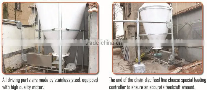 pig feeding equipments / automatic system