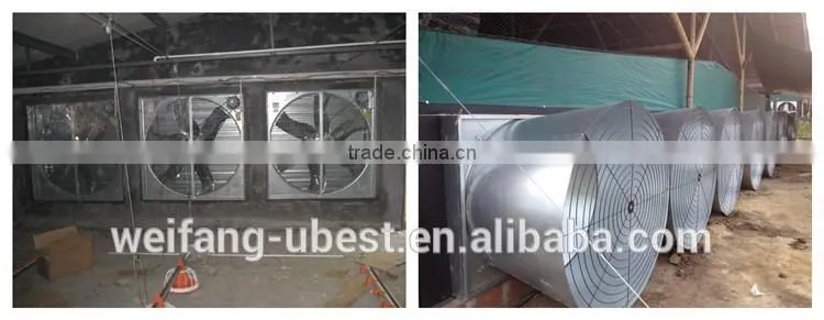 Low price Philippines poultry farm house design broiler chicken raising equipment