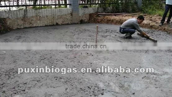 Low cost and big size PUXIN biogas plant for electricity generation