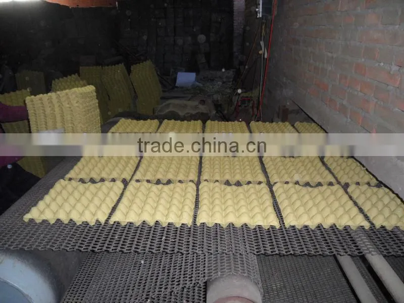 2015 hot sale economical pulp egg tray molding machine made in China Skype:ritaz060