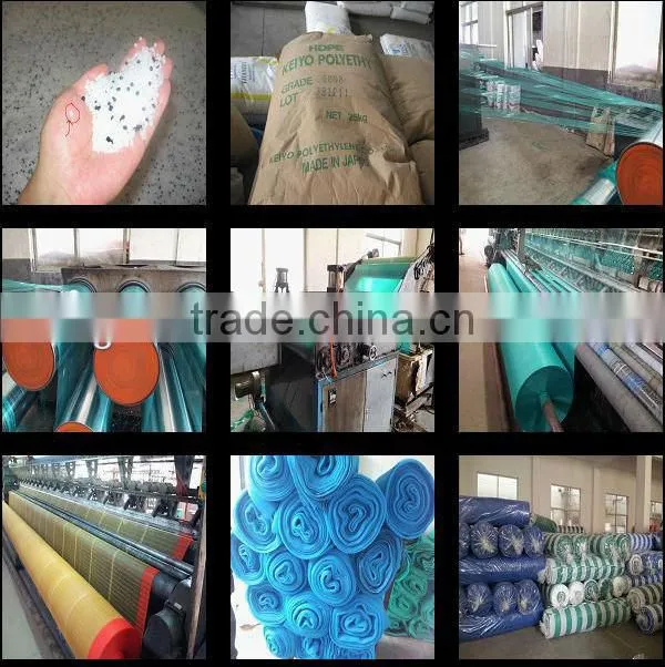 HDPE white Agriculture Anti Insect Net (50g/m2,1.5mm*1.5mm)