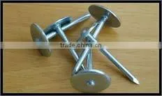 Galvanized Screw Shank Roofing Nails