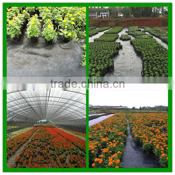 Agricultural garden/greenhouse pp weed mat ground cover
