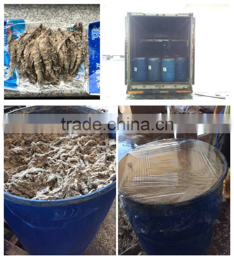 New season Fresh Frozen whole round Anchovy