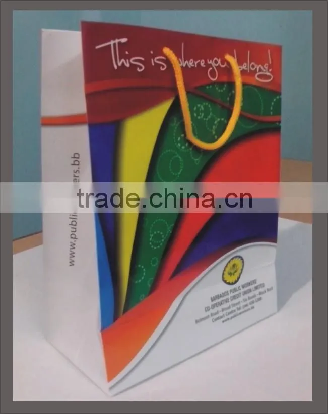 Paper Shopping Bag
