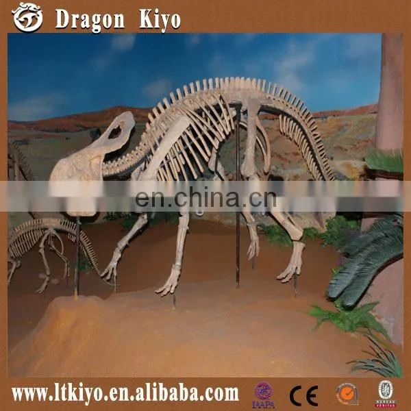 2015 Life Size Dinosaur Park Equipment Dinosaur Skeleton