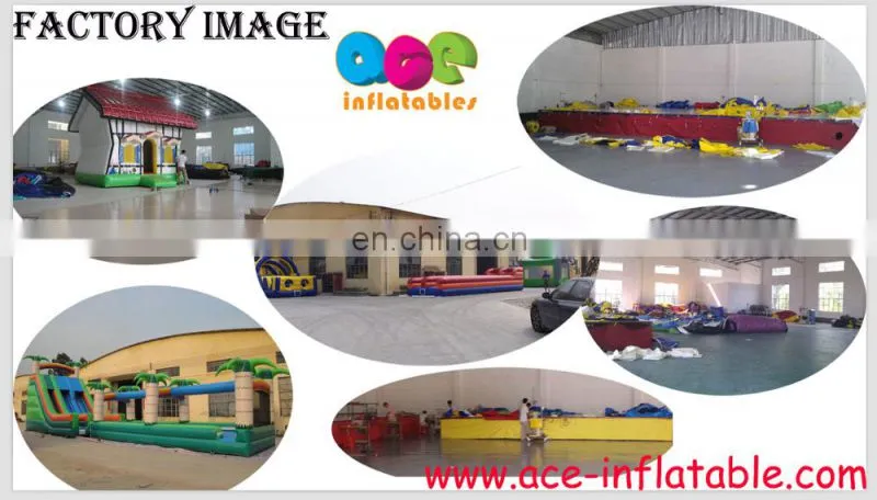Hot Sales Slideway Frozen Theme commercial jumping castle