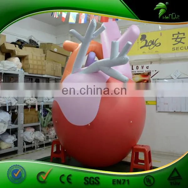 Inflatable Human Organs Model Inflatable Heart Liver Spleen Lung Kidney Replica Hospital Publicize Display PVC Ball