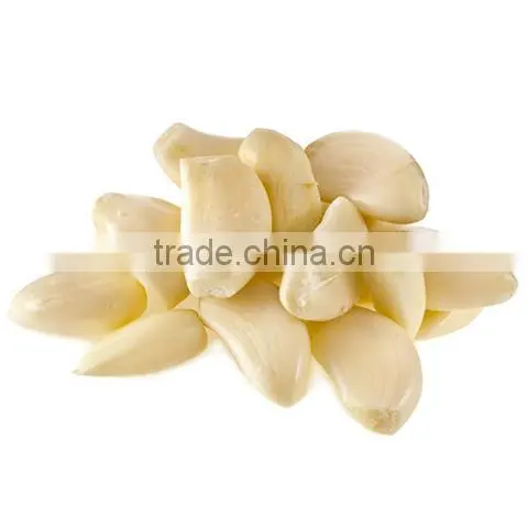 Jinxiang peeled garlic China cheap peeled garlic for sale new crop garlic