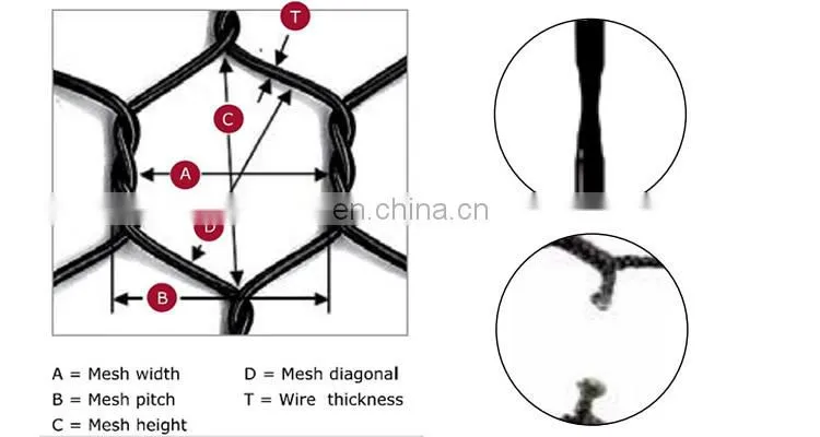 Factory Pet Fish Farming Cage Netting Agriculture Fish Farm Nets Hexagonal Wire Mesh