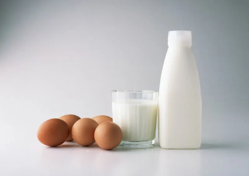 dairy machine Manufacture Cow Milk Production Line Milk Production Line/ Sweetened Condensed Milk Processing Machine ice cream filling
