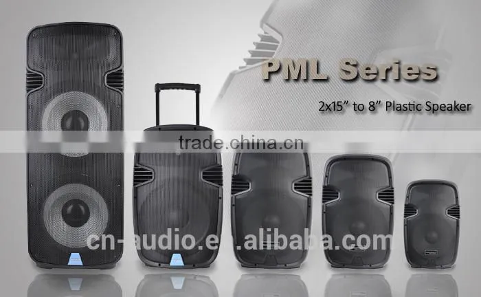 15 Inch Rechargeable Blue tooth Powered Speaker PML15AMFQ-V2BP-BT