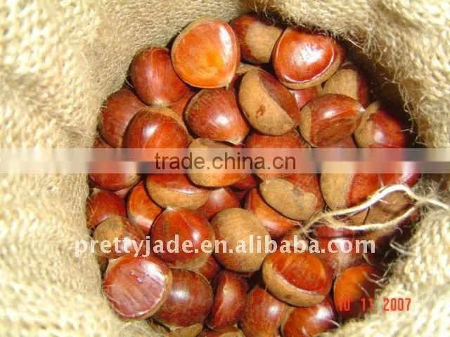 high quality chinese fresh chestnut for sale