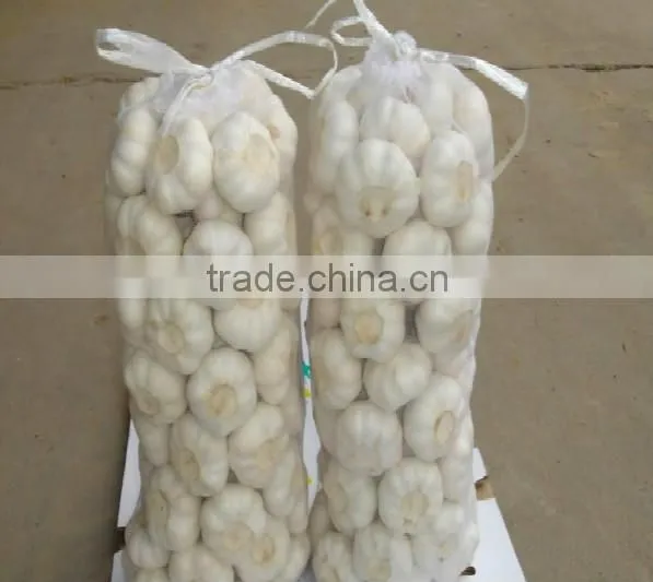hot sale 2015 high quality fresh garlic