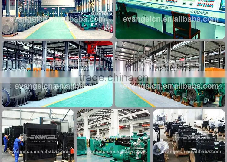 diesel Generator Set diesel generator maintenance manual
