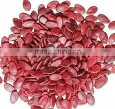 Supply melon seeds , good quality red watermelon seeds kernels for sale
