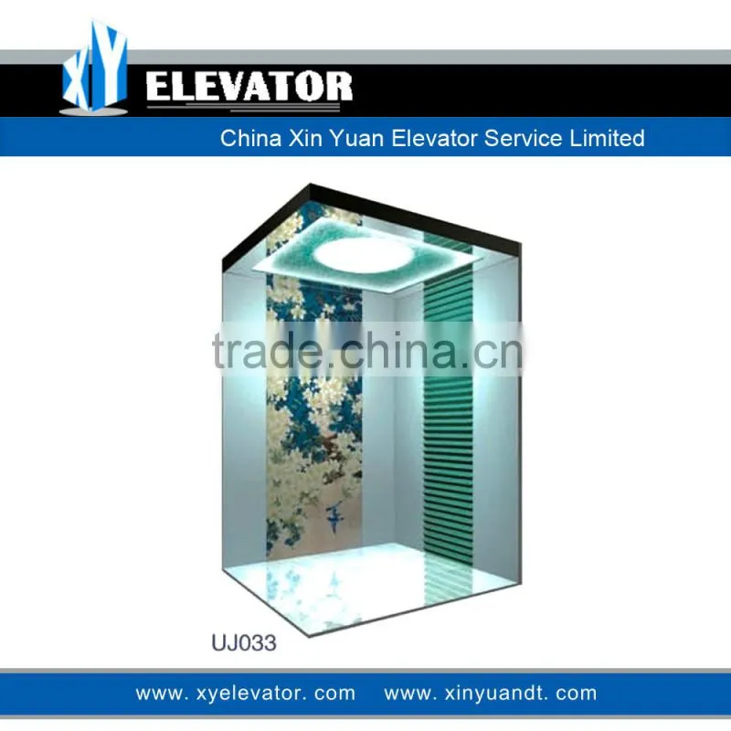 Xinyuan Residential Passenger Home Hotel Elevator/Lift/Cabin China Manufacturer (Chinese Style Art Painting)