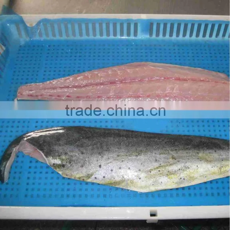 Frozen Mahi Mahi fish fillet
