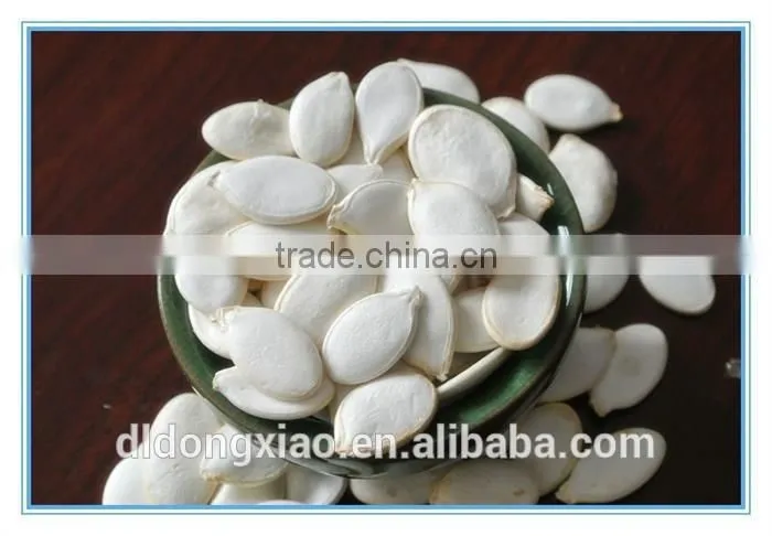 2015, Chinese Snow White Pumpkin Seeds supply directly from factory