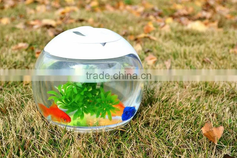 EEO Manufacturer supplies exquisite clear fish tank, fiberglass fish tank