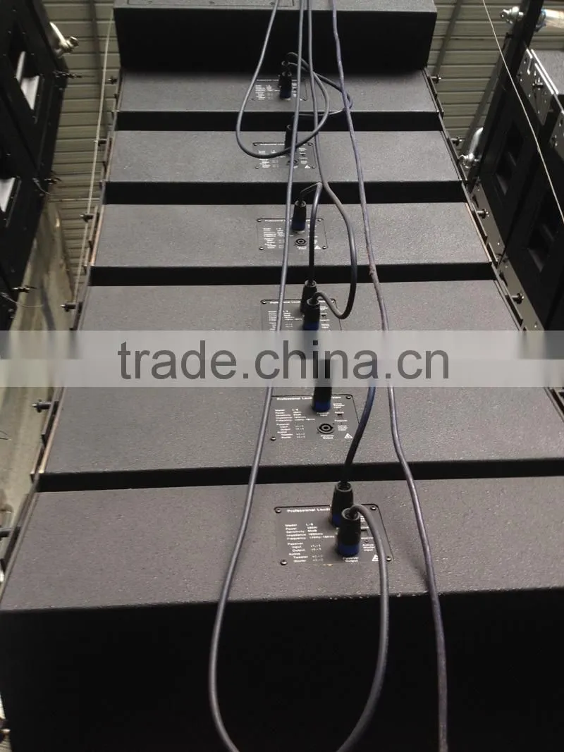 High Power Compact Double 8" Church Line Array