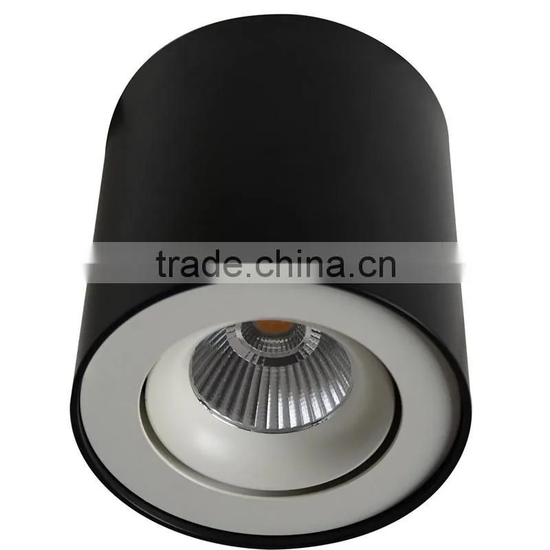 modern white adjustable surface mounted ceiling light