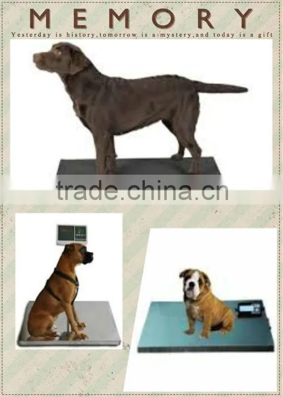 livestock platform scales