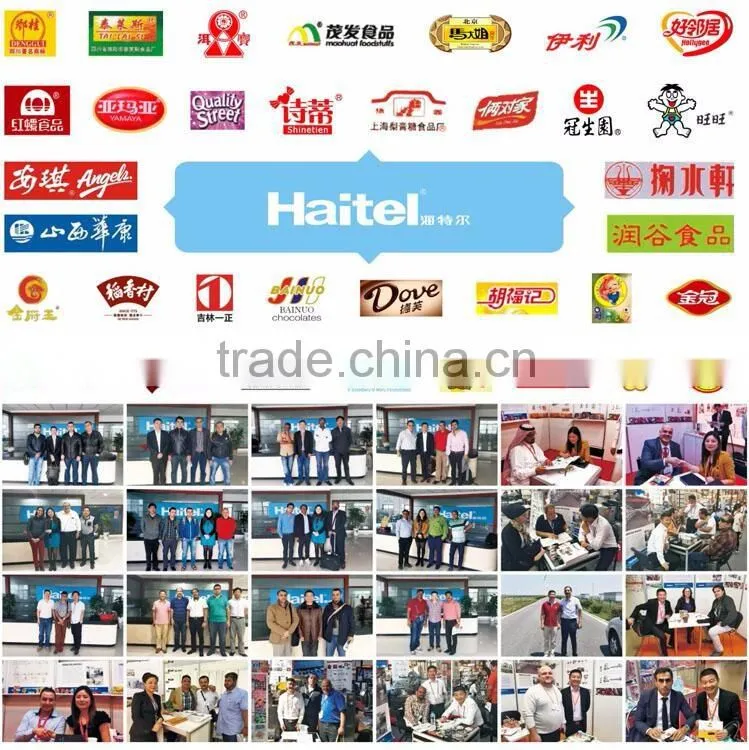 HTL-1000-S360 Automatic Chocolate Double Twist Wrapping Machine